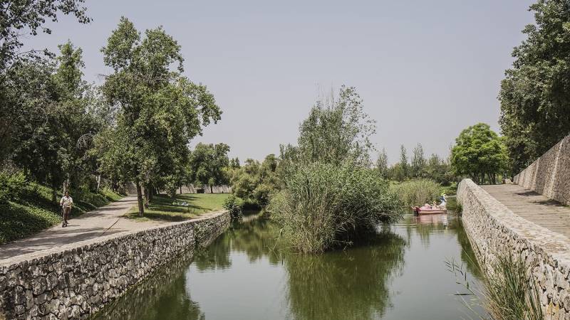 El objetivo es conseguir 10 metros cuadrados de áreas verdes por habitante en 2030