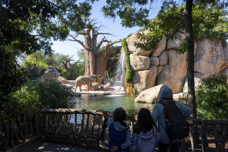 Lémures en el Bioparc. EPDA.